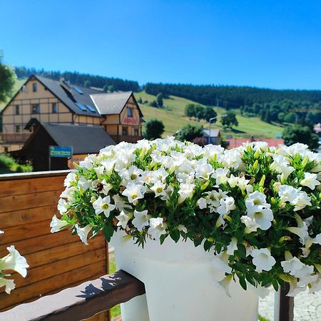 Ski&Spa Zieleniec Duszniki Zdroj Bagian luar foto
