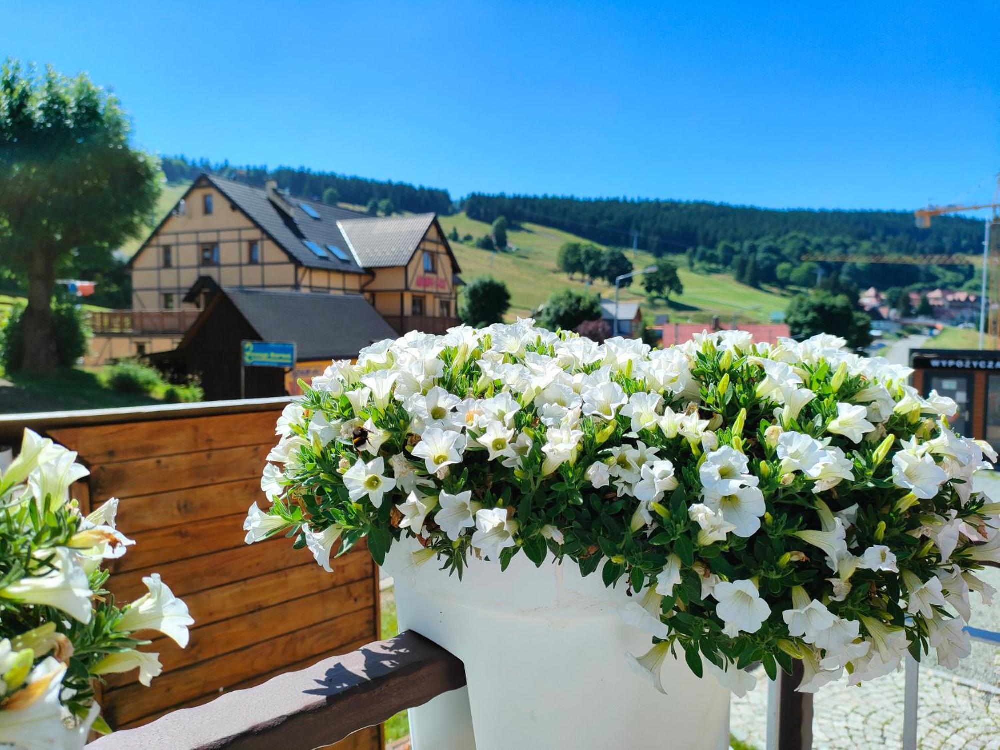 Ski&Spa Zieleniec Duszniki Zdroj Bagian luar foto